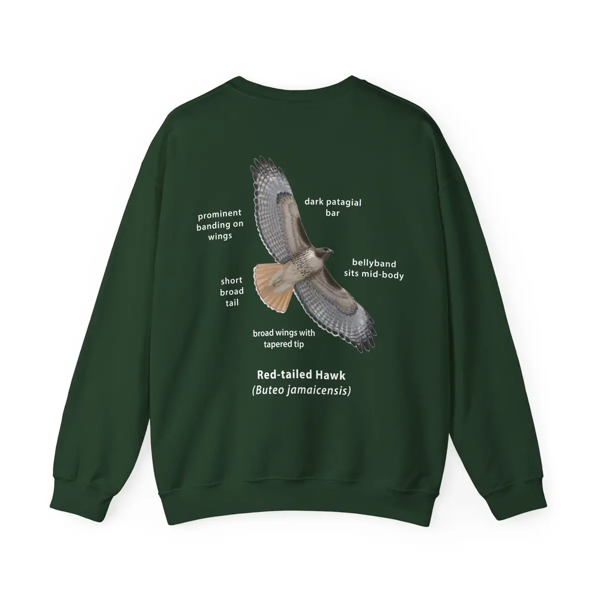 Red-Tailed Hawk Id Crewneck 2