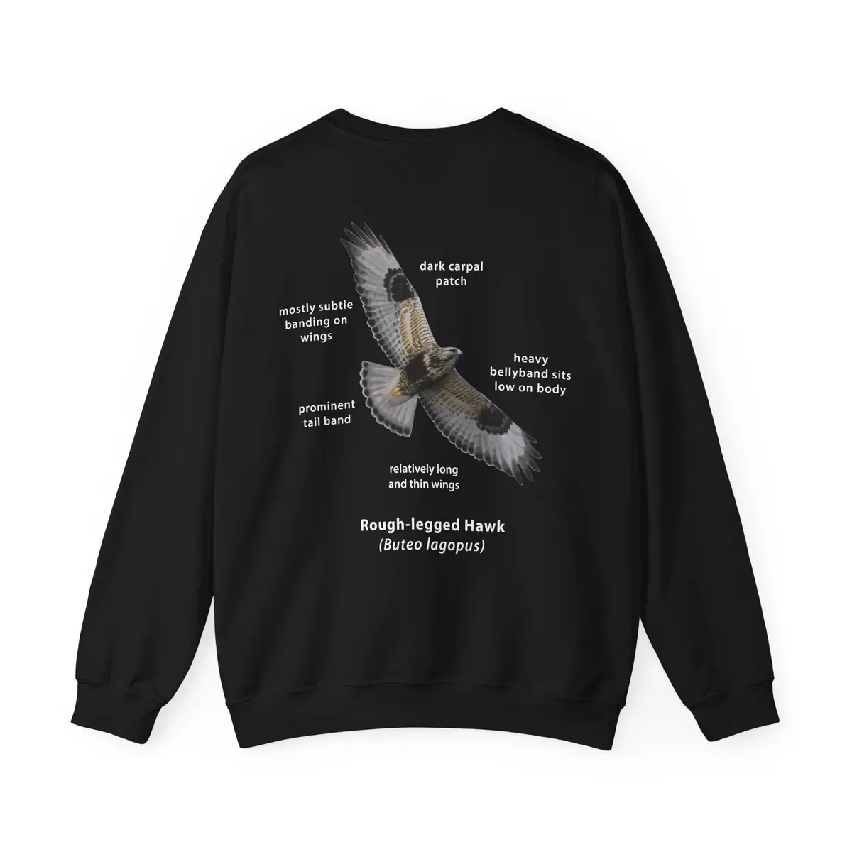 Rough-Legged Hawk Id Crewneck 2