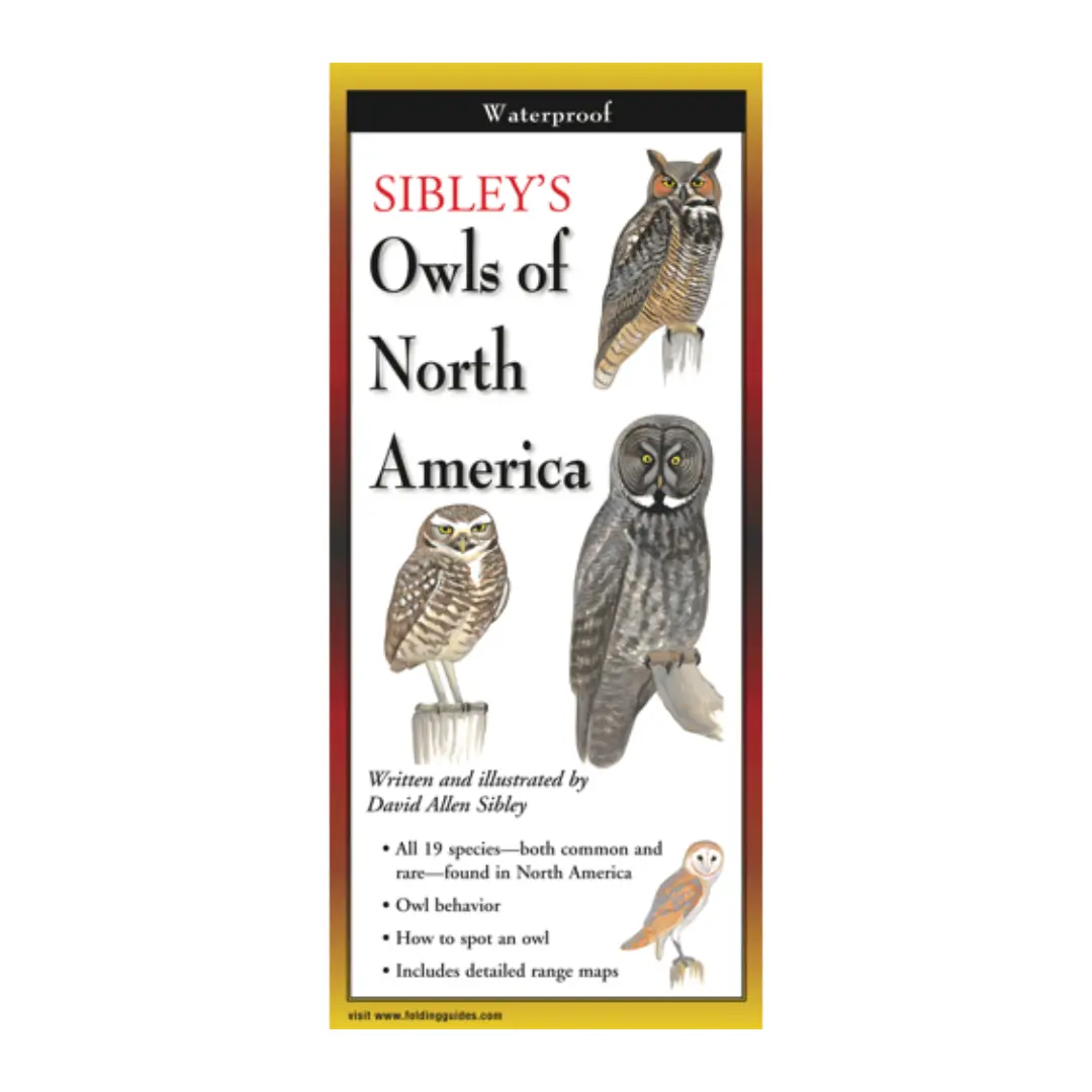 Sibley's Owls Of North America 1