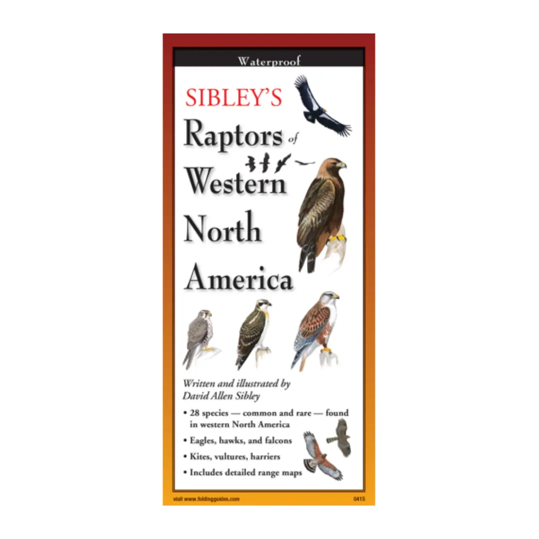 Sibley’S Raptors Of Western North America 1