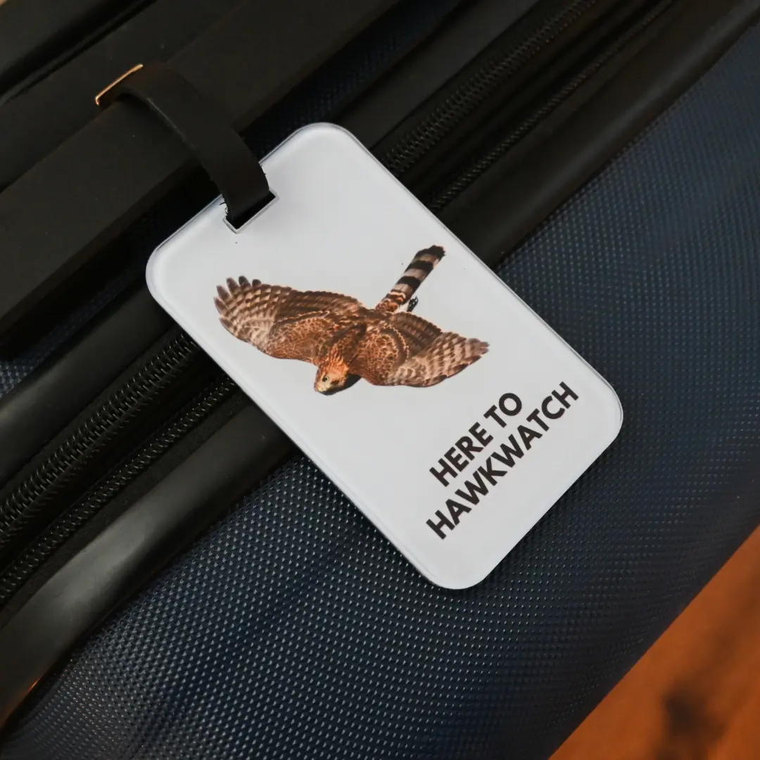 Here To Hawkwatch Luggage Tag 1