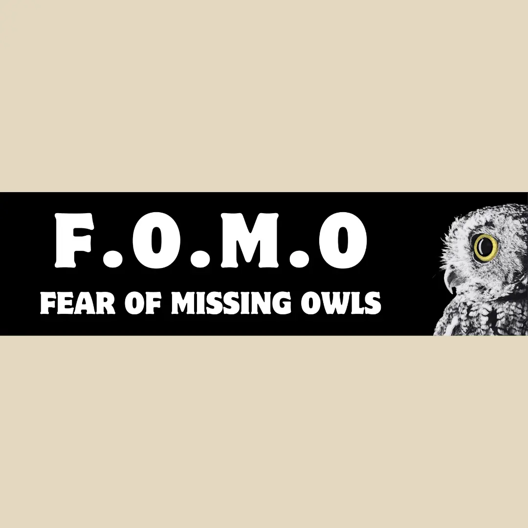 Fomo Bumper Sticker 1