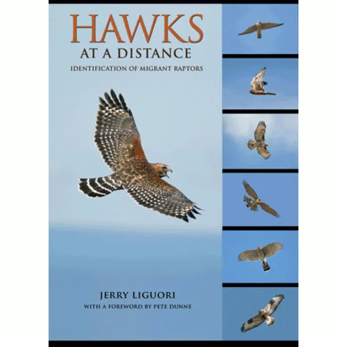 Hawks At A Distance 1