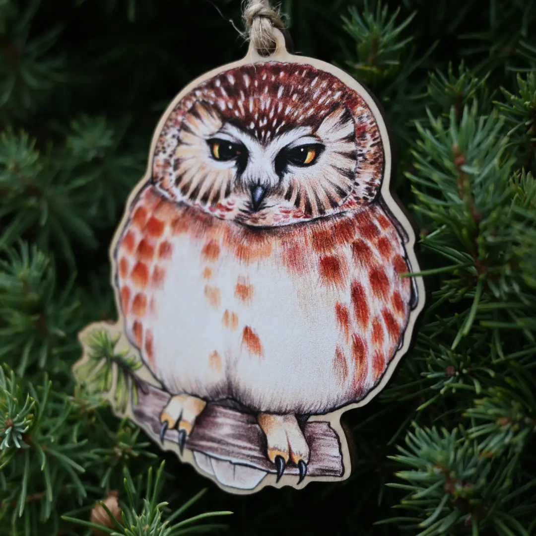 Northern Saw-Whet Owl Ornament 1