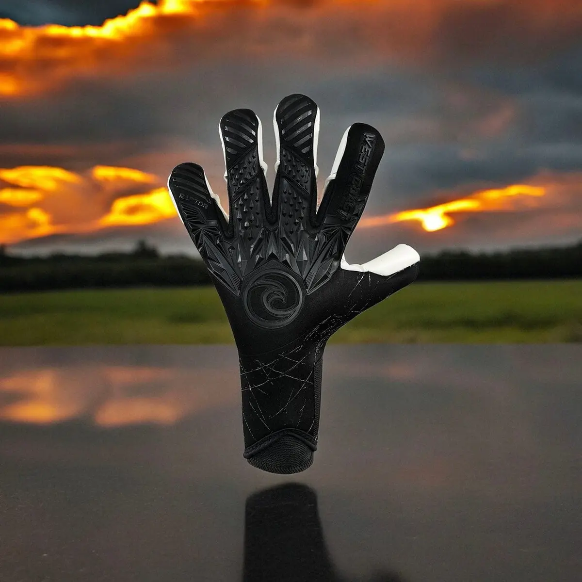 Raptor ™ Shadow 2