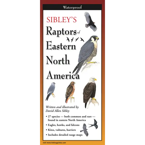 Sibley’S Raptors Of Eastern North America 1