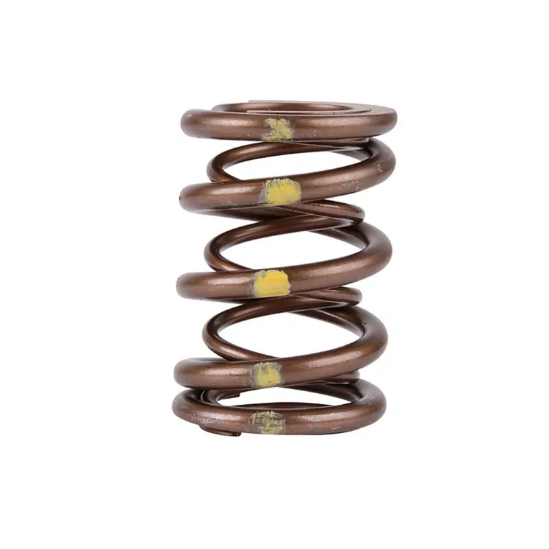 Skunk2 Pro Series Dual Valve Spring Kit – For Honda/Acura B-Series Vtec Engines 1