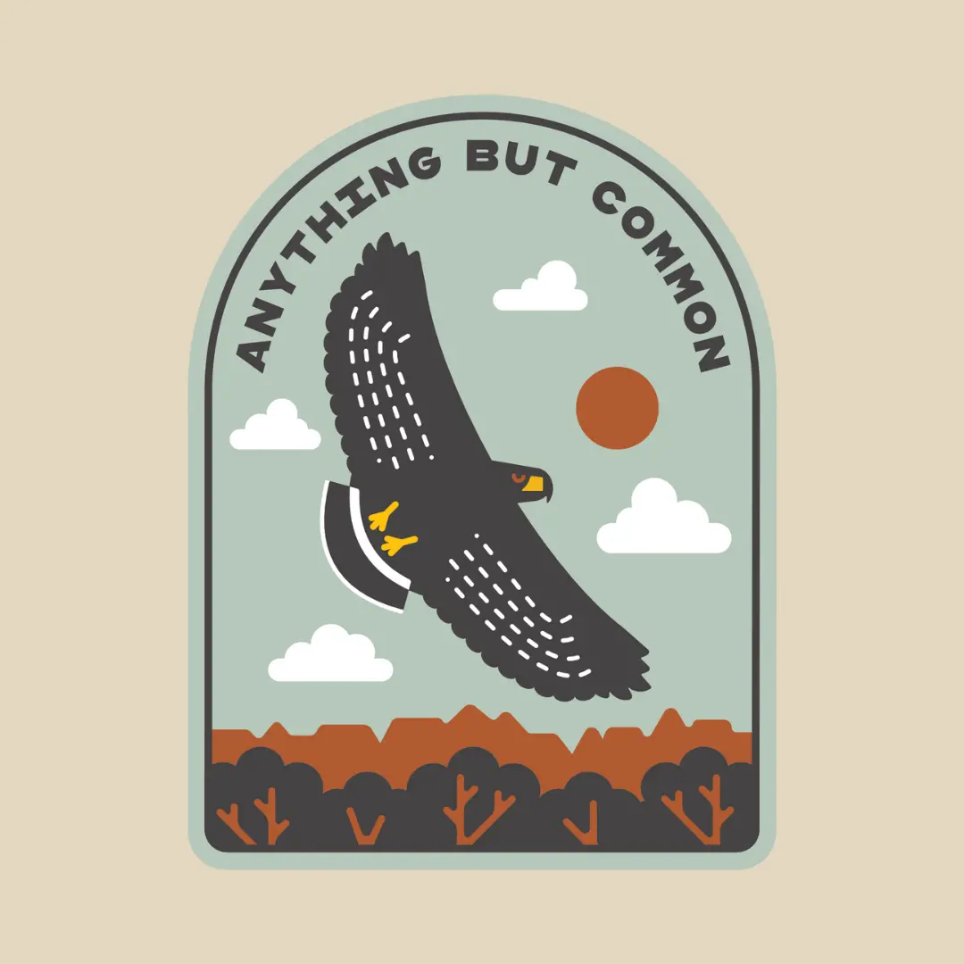 Common Black Hawk Sticker 1