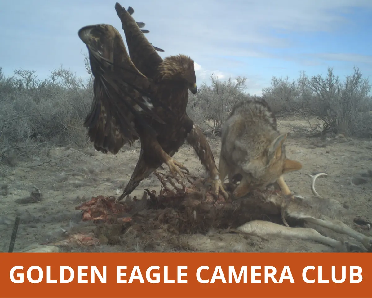 Golden Eagle Camera Club 1