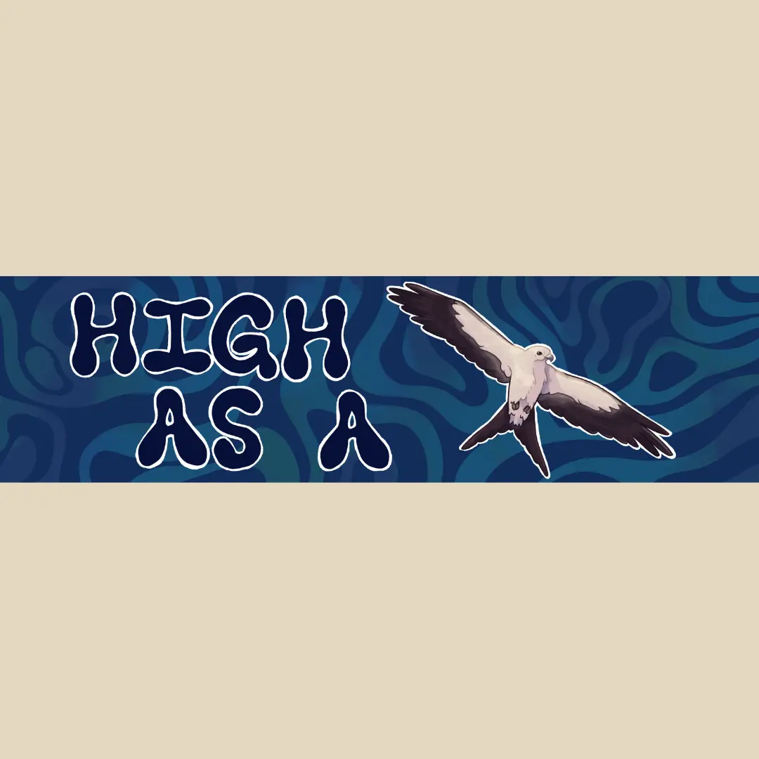 High As A Kite Bumper Sticker 1
