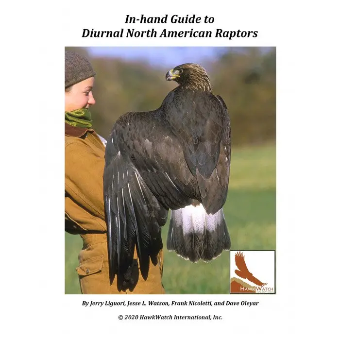 In-Hand Guide To Diurnal North American Raptors 1